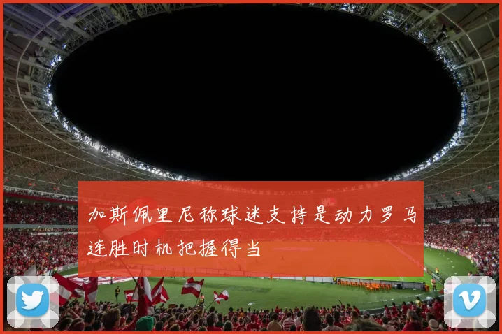 加斯佩里尼称球迷支持是动力罗马连胜时机把握得当