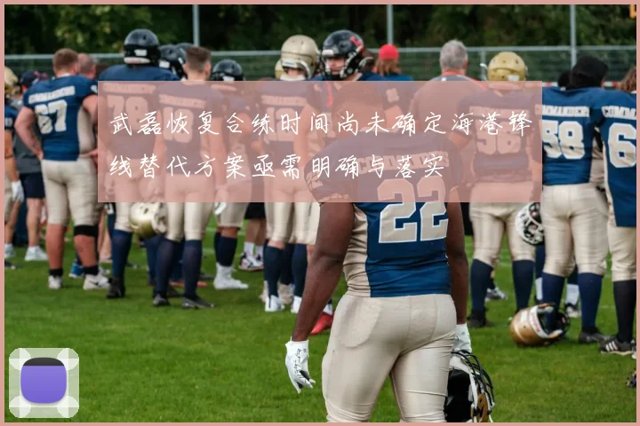 武磊恢复合练时间尚未确定海港锋线替代方案亟需明确与落实